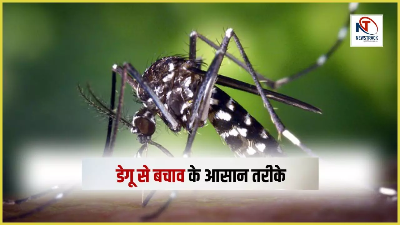 National Dengue Day History and Importance