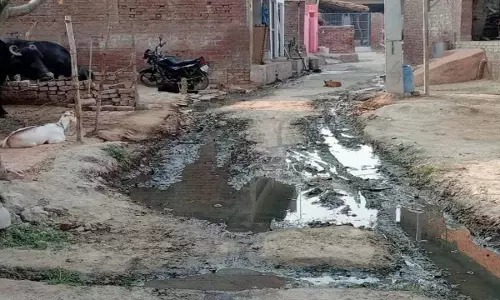 auraiya news