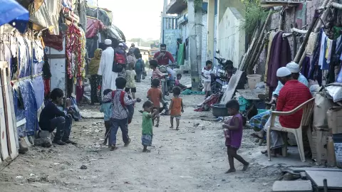 Rohingya News