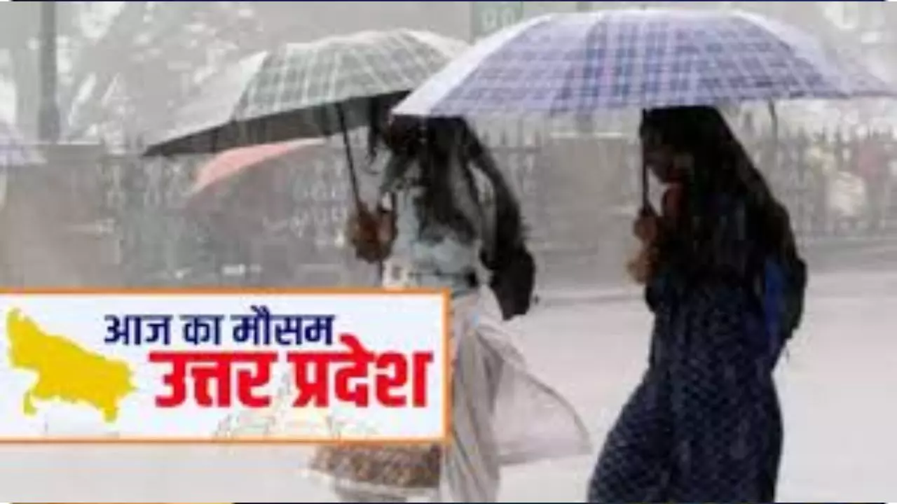 UP Mausam News