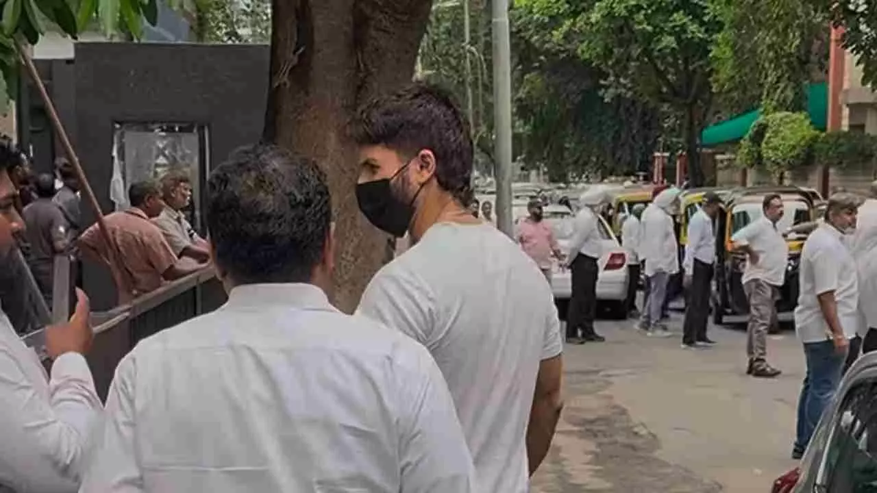 Shahid Kapoor Video