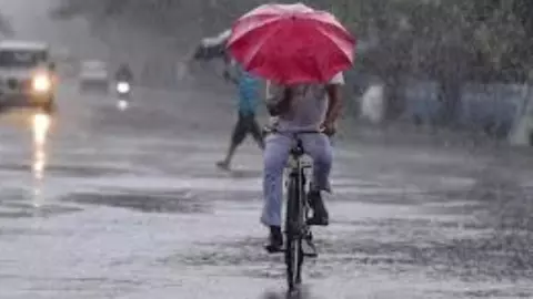 UP Mausam News