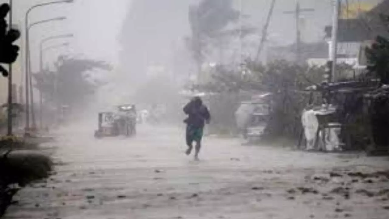 UP Mausam News