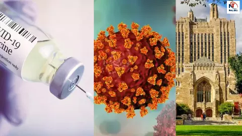 Covid 19 new variant research yale university