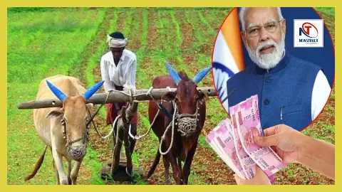 Modi Government Increase in MSP of 14 Kharif Crops Modi Government Increase in MSP of 14 Kharif Crops