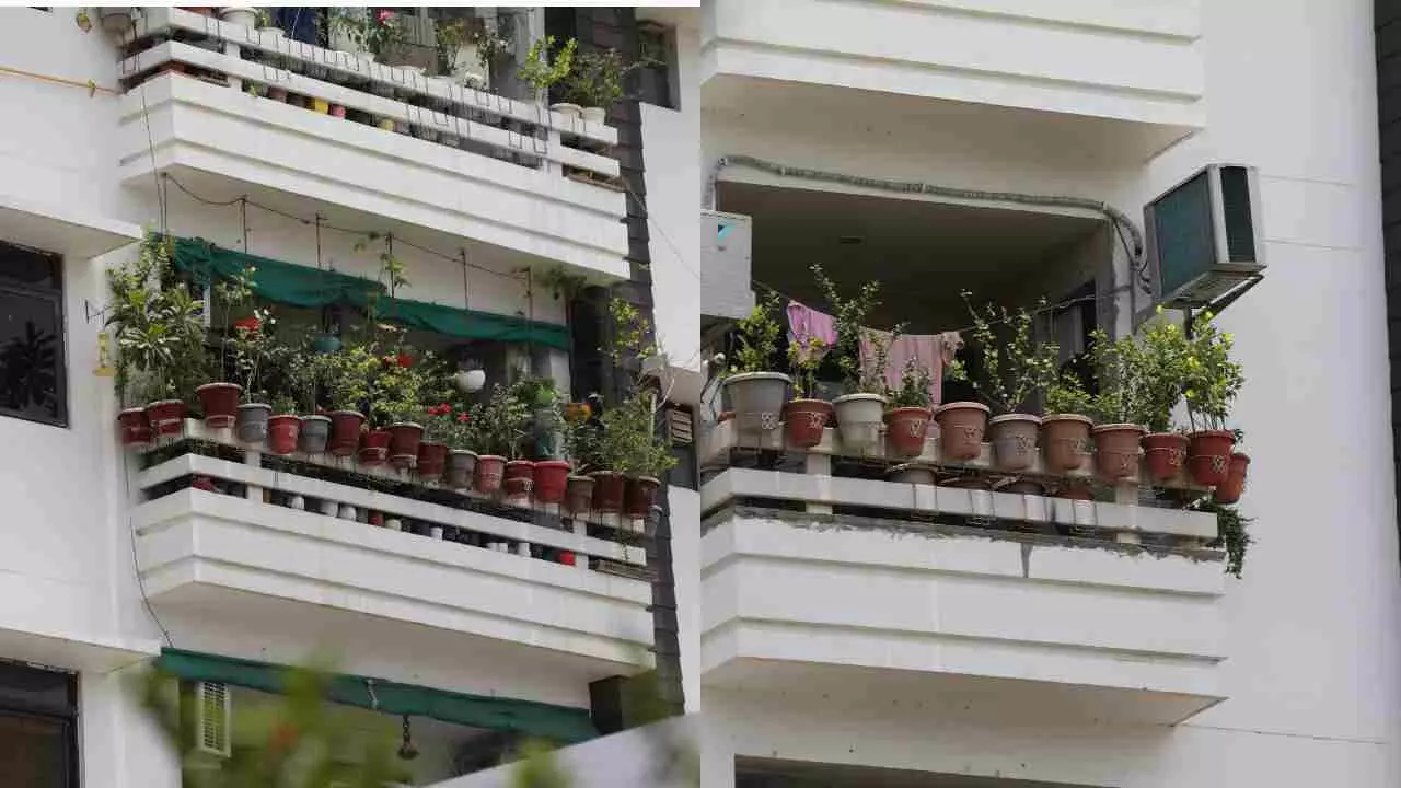Lucknow News: LDA का आदेश नहीं मान रहे लखनऊवासी! सख्ती के बाद भी बालकनी से लटक रहे गमले, बड़े हादसे का हो रहा इंतजार