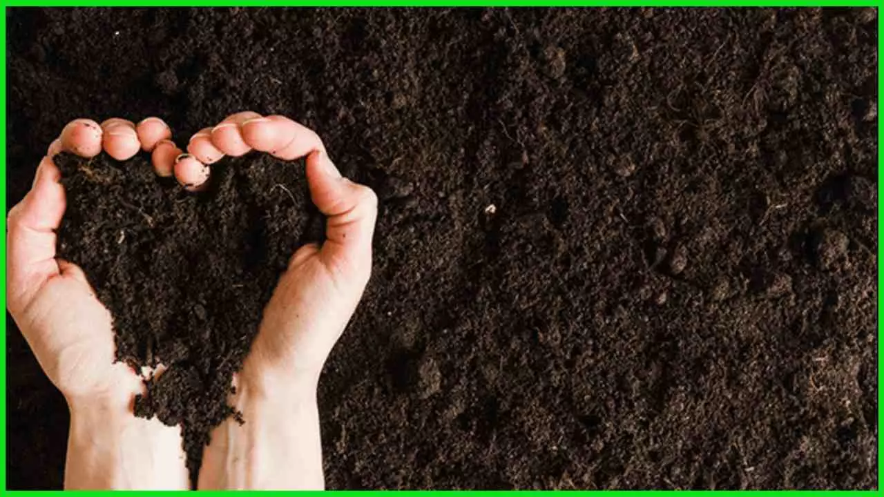 Save Indias Soil Health