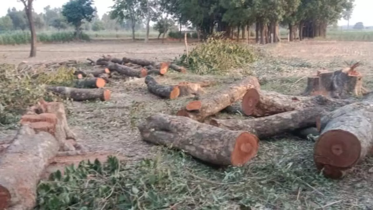 Hapur News: लाखों की कमाई, चार्ज हटाकर वन विभाग ने कर दी भरपाई,डिप्टी रेंजर को जांच से हटाया, वन रक्षक को किया सस्पेंड