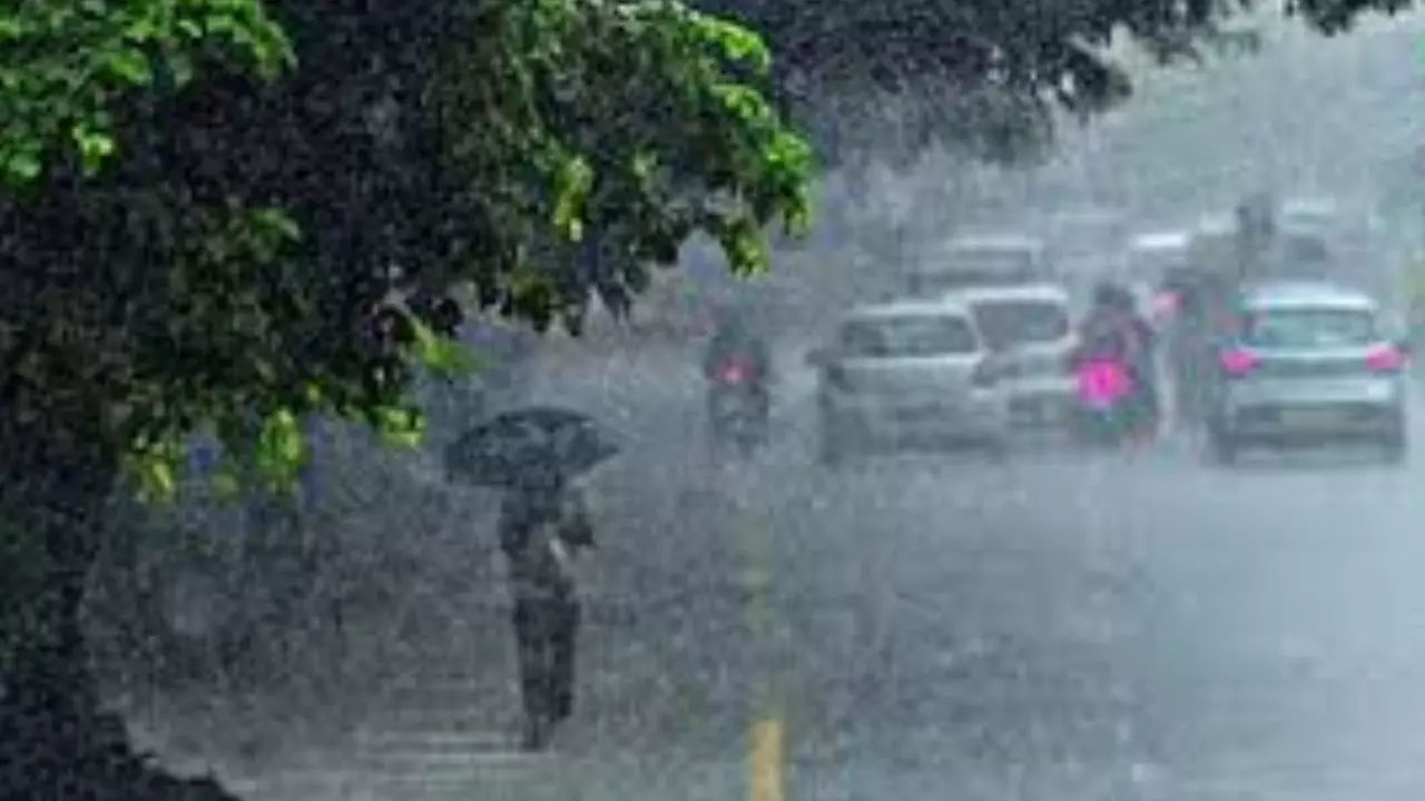 UP Mausam