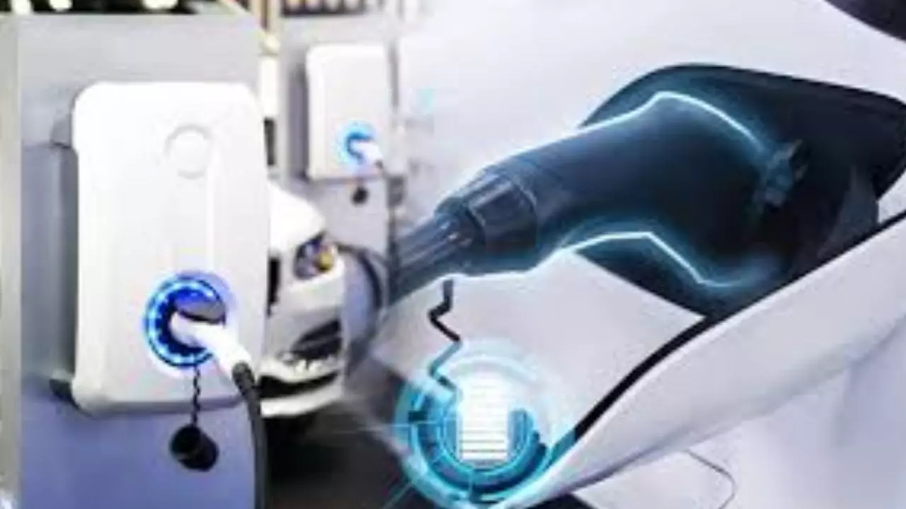 Crisis on India EV Industry (Social Media)