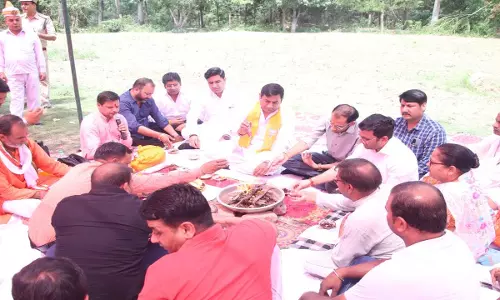 Meerut News: संजय वन में हरियाली की दस्तक! मंत्री सोमेन्द्र तोमर ने किया कायाकल्प अभियान का शुभारंभ