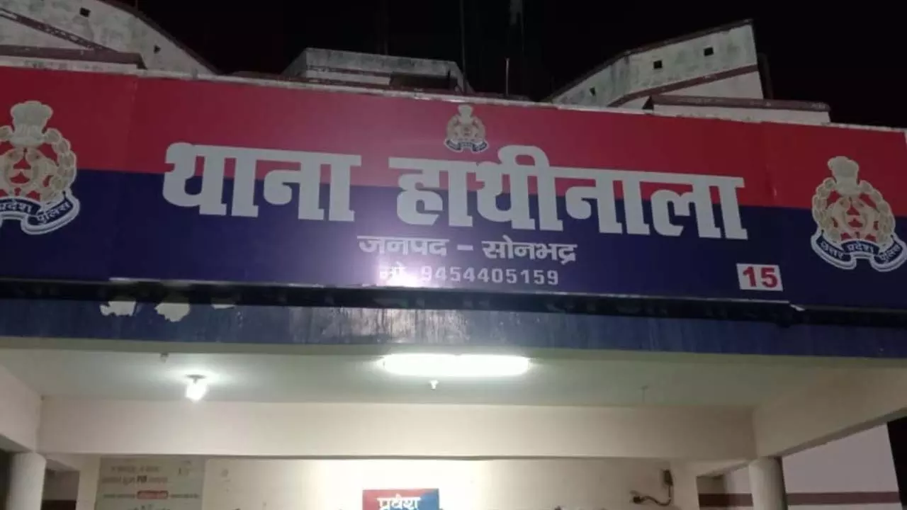 Relationship for three years, pregnancy, toy drugs, 20 years rigorous imprisonment