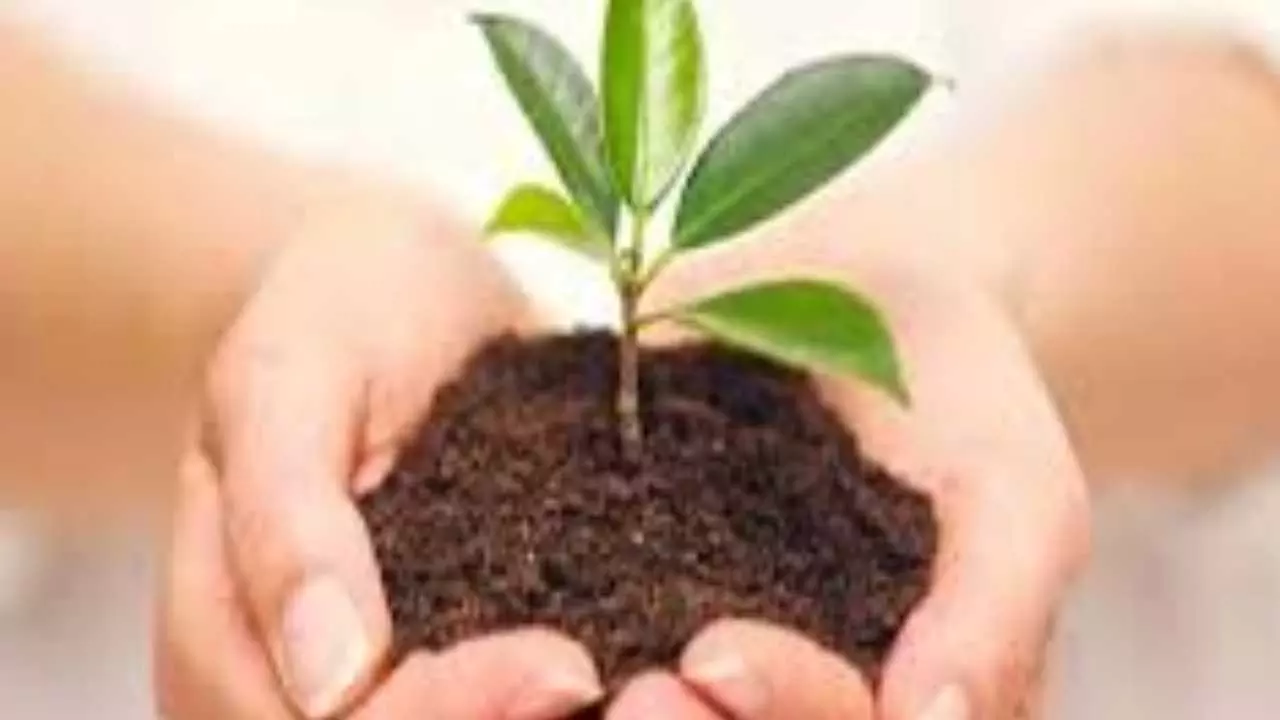 World Environment Day