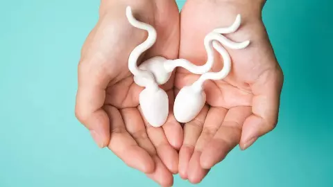 Infertility In Male Infertility In Male