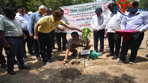 Harit Sandesh given through Plamting programs on World Environment Day in Bareka Harit Sandesh given through Plamting programs on World Environment Day in Bareka