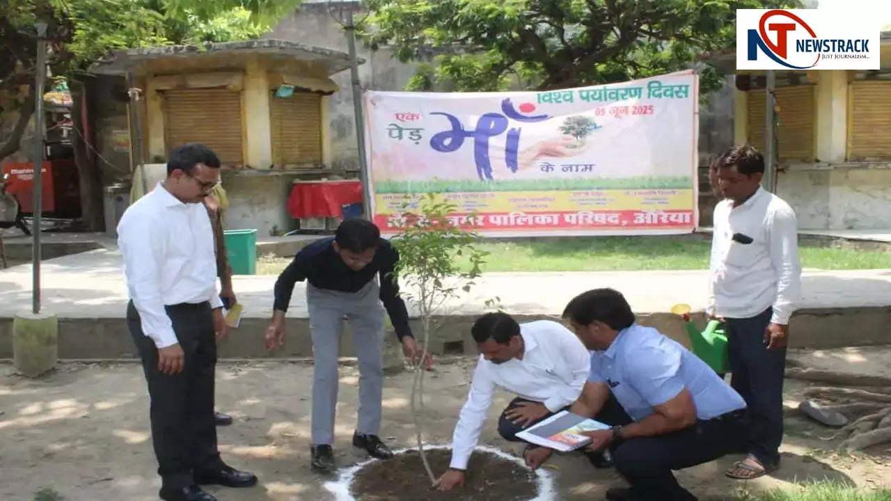 Tree planting done under the campaign One Tree in the Name of Mother