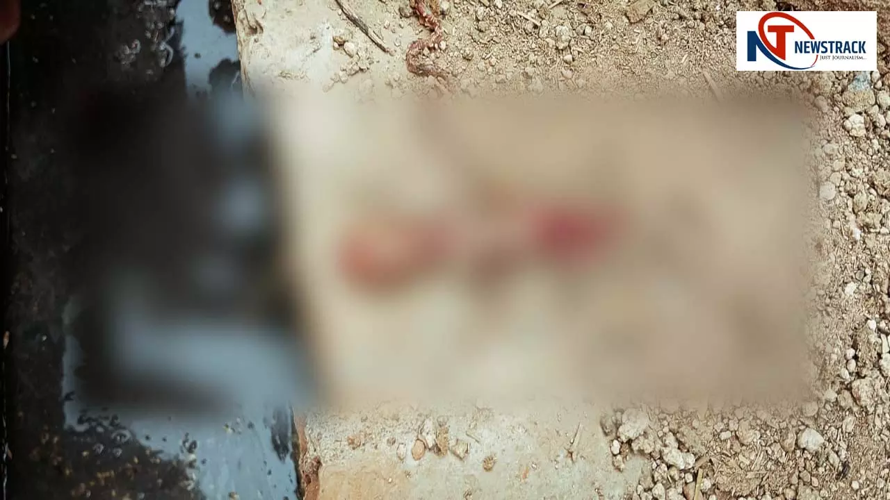 Body of newborn found in street Body of newborn found in street