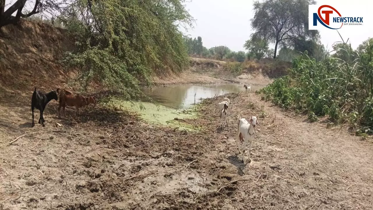 Sukhati Barkota drain river in Chakalvanshi, farmers worried- Maveshi Pyase