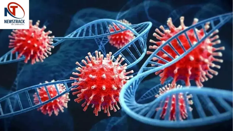 Corona Virus Update