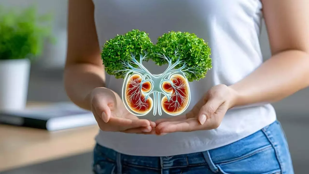 Foods For Liver And Kidney