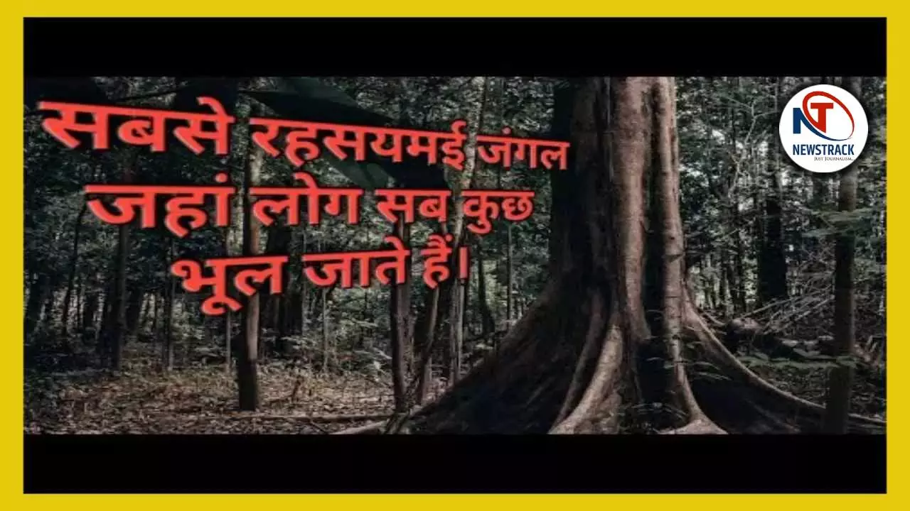 Duniya Ka Rahasyamayi Jangal Hoia Baciu
