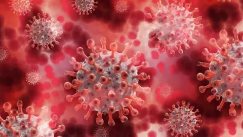 Corona Virus News Corona Virus News