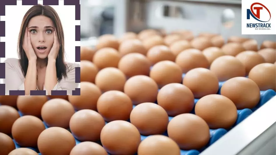Salmonella Bacteria in Eggs