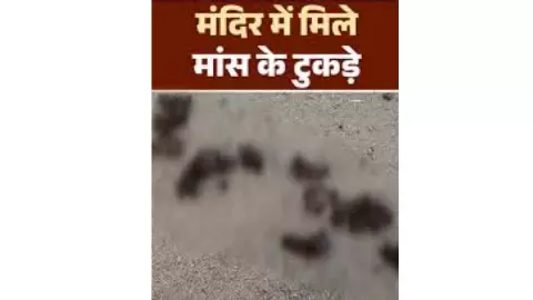 Assam News: मंदिर में मिला मवेशी का मांस और कटे हुए अंग, असम के धुबरी में तनाव, कर्फ्यू, सीएम के कड़ी कार्रवाई के निर्देश