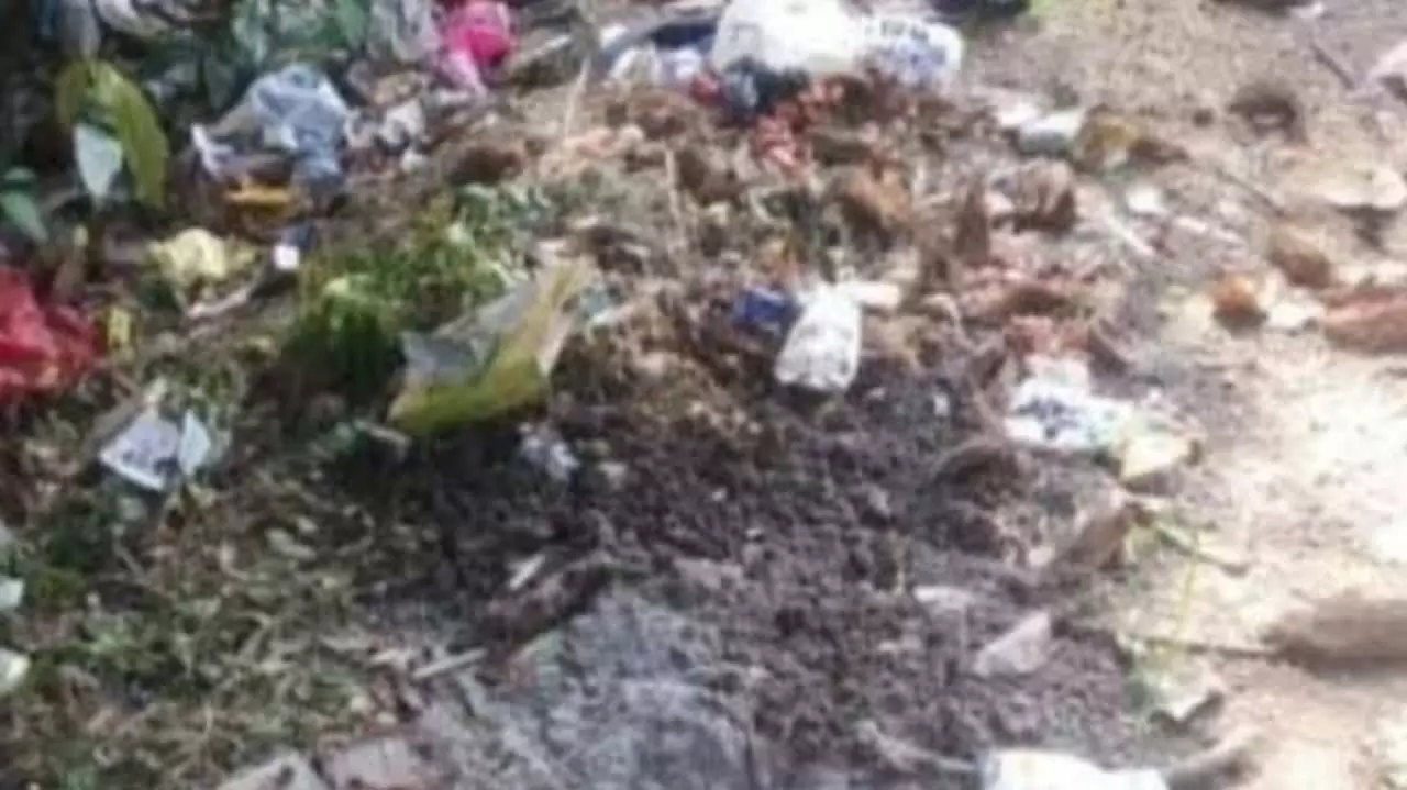 Chandauli News: बाघी पंचायत की सफाई व्यवस्था बेहाल: आदेश जारी, ज़मीन पर असर शून्य!