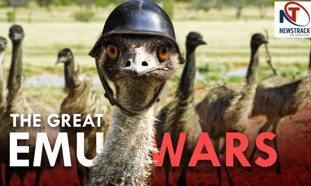 Australia The Great Emu and Farmers War History