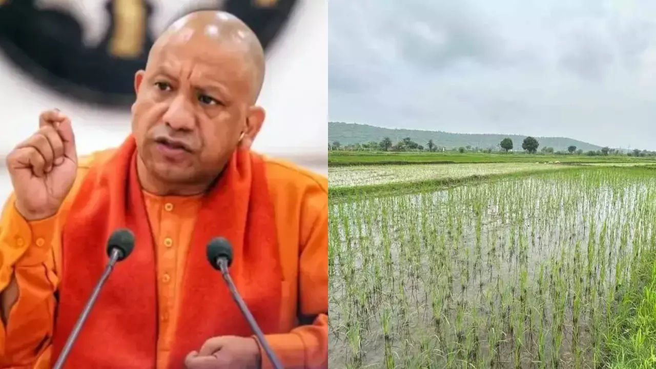 Farmers of Uttar Pradesh