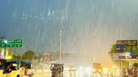 UP Mausam