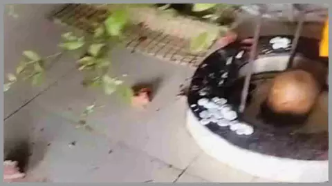 Hapur News: मंदिर सहित तालाब की जमीन पर अवैध तरीके से दबंगों ने की तोड़फोड़, ग्रामीणों ने दी थाने में तहरीर