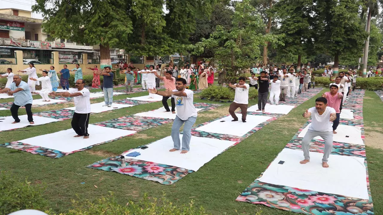 International Yoga Week inaugurated, CDO says- You should practice yoga daily to improve health