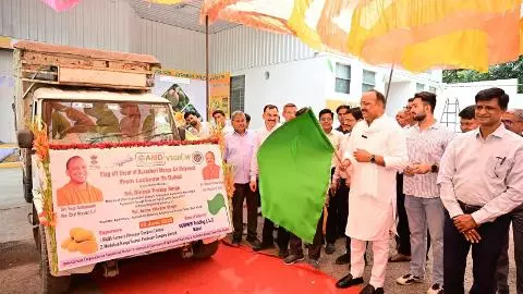 Lucknow से दुबई भेजा गया 1200 किलो दशहरी आम, एफपीओ को पहली बार मिला सीधे निर्यात का मौका Lucknow से दुबई भेजा गया 1200 किलो दशहरी आम, एफपीओ को पहली बार मिला सीधे निर्यात का मौका