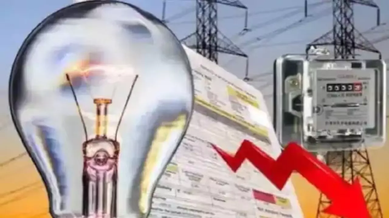 UP Electricity Privatization