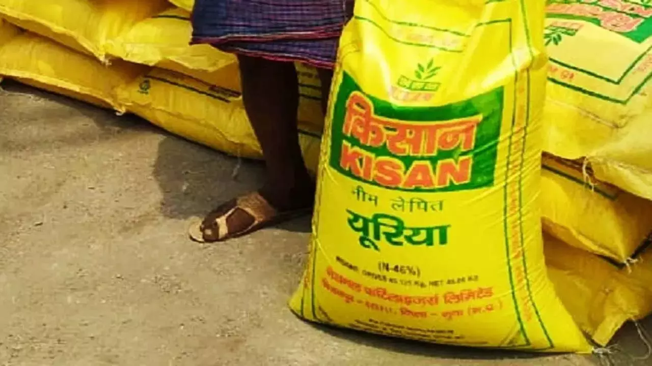 Urea selling for Rs 500 per sack in Kushinagar, Farmers upset