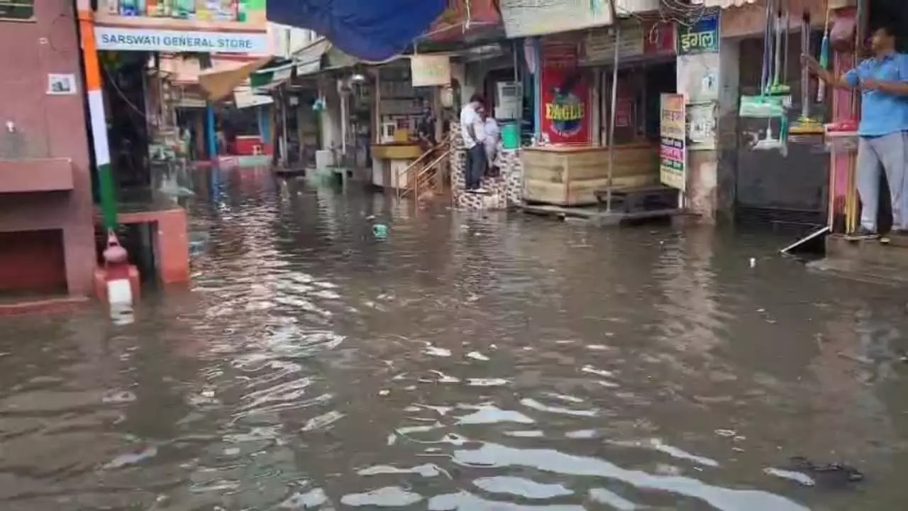 Shamli News: मूसलाधार बारिश से शामली बना टापू ,खुली नगर पालिका की पोल