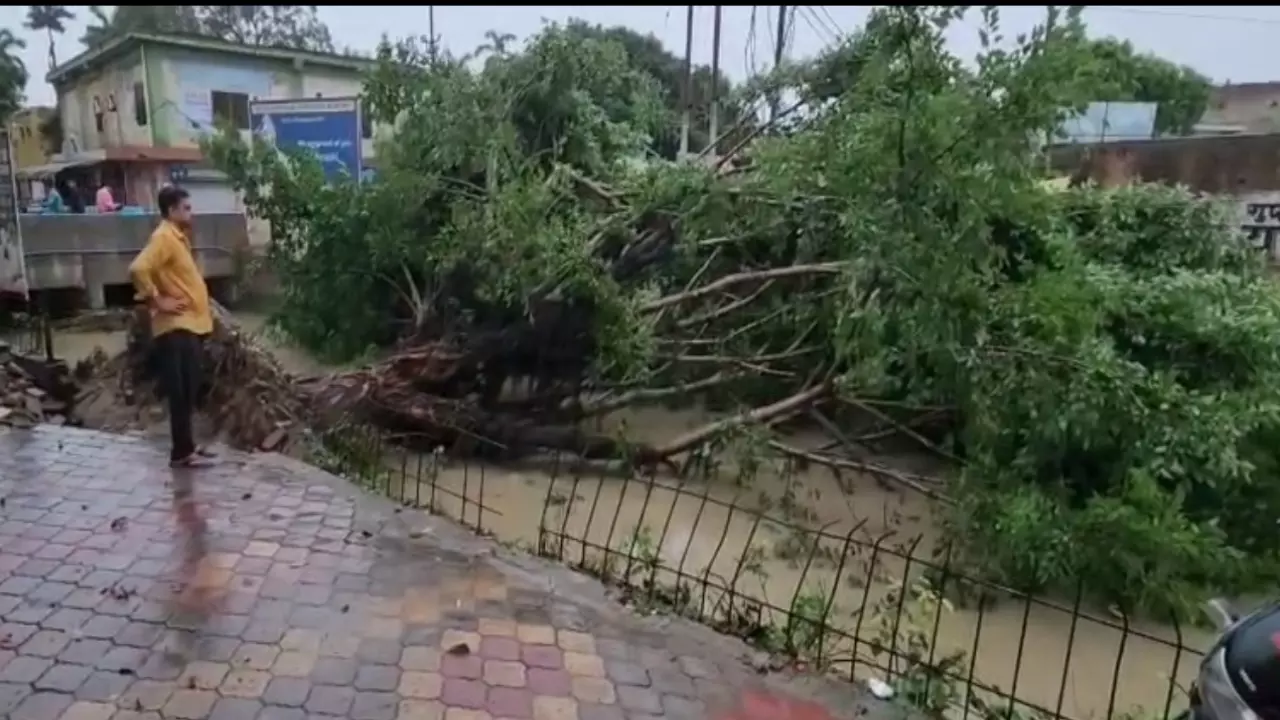 बारिश बनी आफत: शामली और कांधला में सड़कों से लेकर दुकानों तक भरा पानी, व्यापार ठप