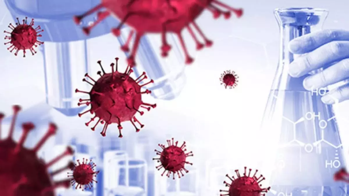 22 New Corona Like Viruses