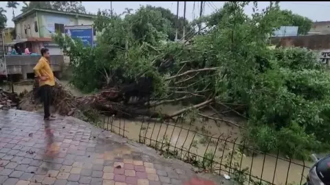 बारिश बनी आफत: शामली और कांधला में सड़कों से लेकर दुकानों तक भरा पानी, व्यापार ठप