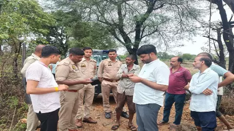 Jhansi News: झाँसी में आकाशीय बिजली गिरने से 16 बकरियों की मौत, प्रशासन ने संभाला मोर्चा