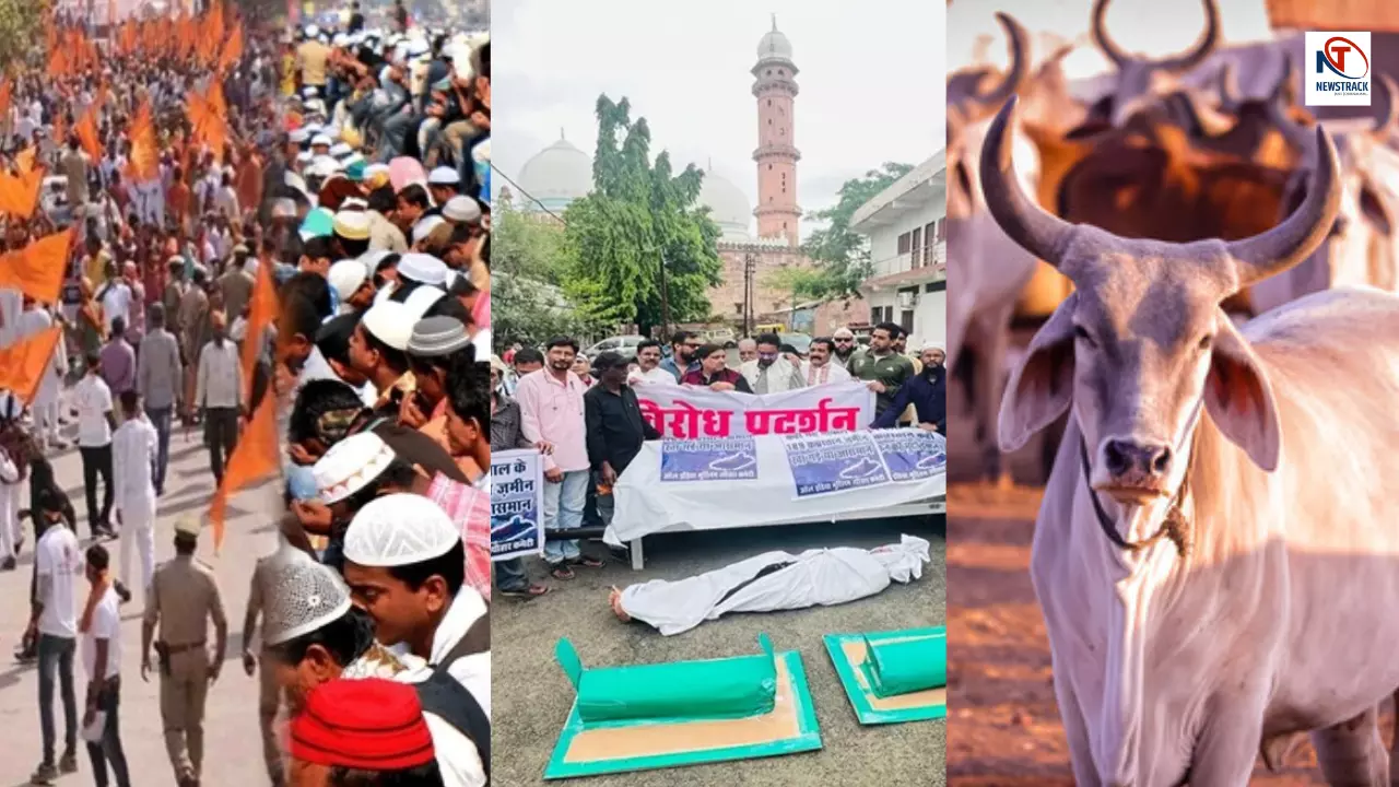 Hindu-Muslims face over 100 crore land Muslims say they will not build cowsheds here this waqf land