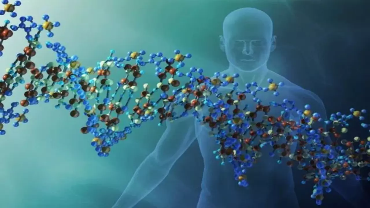 Artificial Human DNA