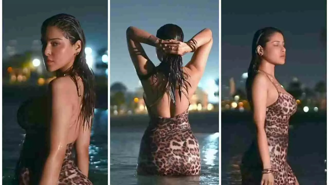 Edin Rose Bold Video