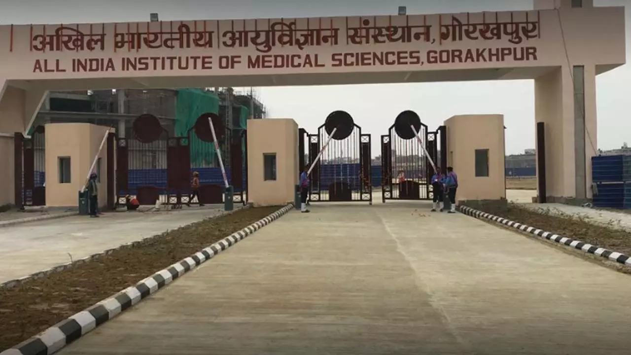Gorakhpur: How did AIIMS come into existence? President Murmu to be Chief Guest at First Convocation Ceremony