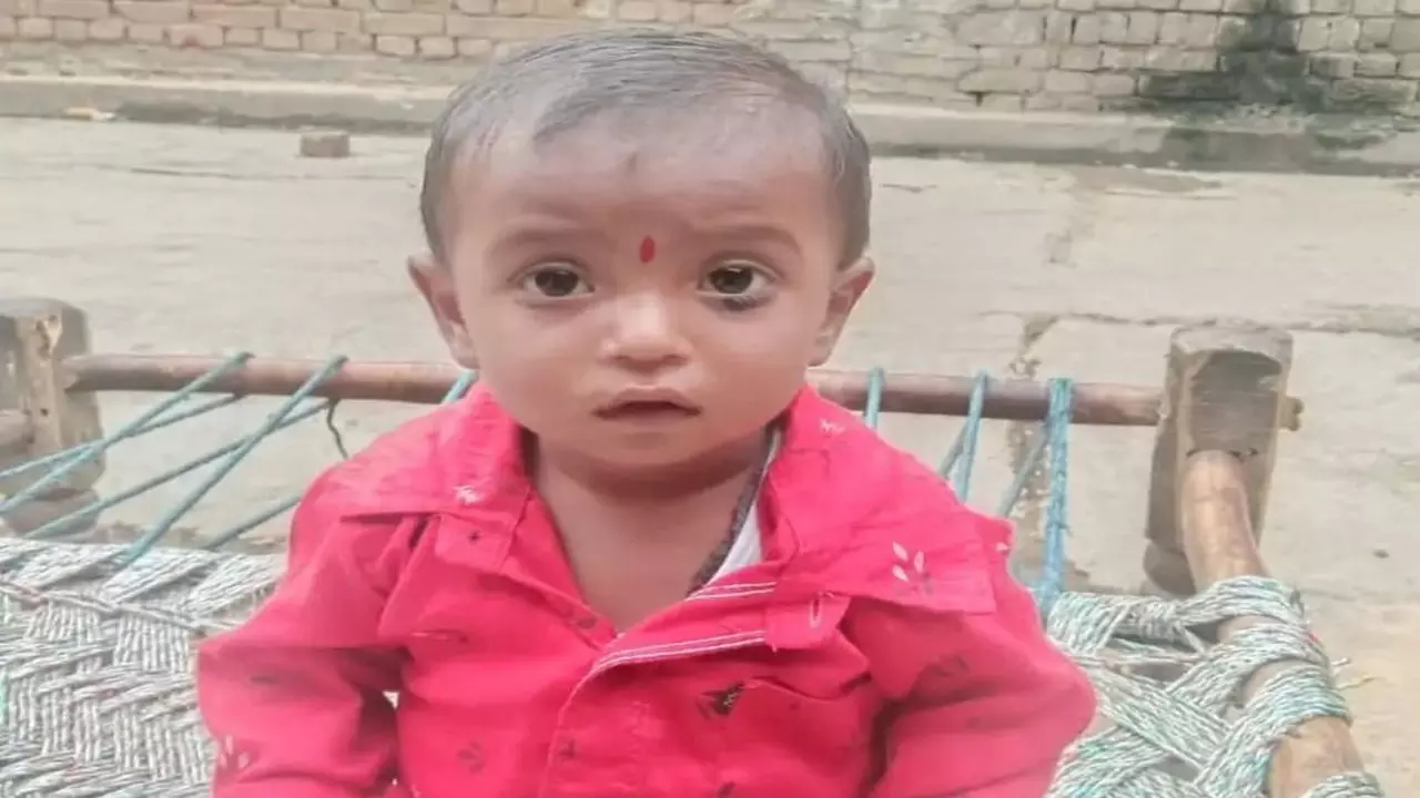 Bijnor News: गुलदार के हमले में डेढ़ साल के मासूम की मौत, आतंक जारी