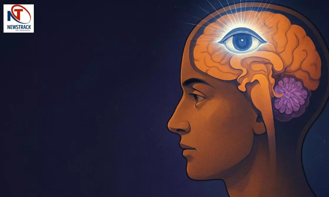 Mind Research Story Secrete Of Pineal Gland Mystery