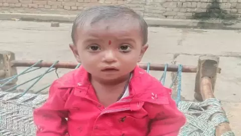 Bijnor News: गुलदार के हमले में डेढ़ साल के मासूम की मौत, आतंक जारी Bijnor News: गुलदार के हमले में डेढ़ साल के मासूम की मौत, आतंक जारी