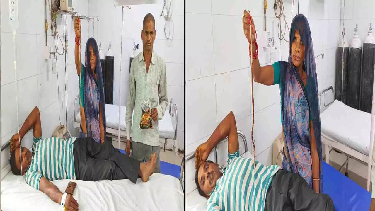 Mahoba News: मरा सांप लेकर अस्पताल पहुंची महिला, पति के इलाज की गुहार